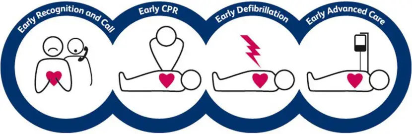 the-four-steps-of-the-chain-of-survival-free-cpr-training